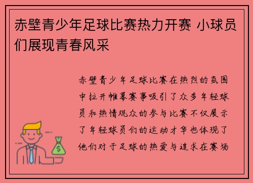 赤壁青少年足球比赛热力开赛 小球员们展现青春风采