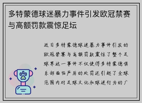 多特蒙德球迷暴力事件引发欧冠禁赛与高额罚款震惊足坛