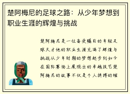 楚阿梅尼的足球之路：从少年梦想到职业生涯的辉煌与挑战