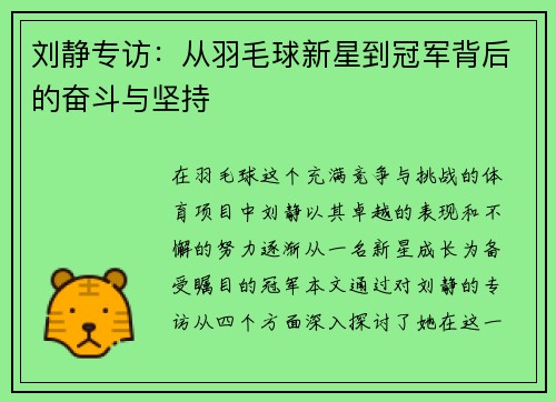 刘静专访：从羽毛球新星到冠军背后的奋斗与坚持